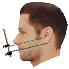 Seitenansicht des Levelcheck von screen-it